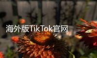 海外版TikTok官网入口：开启全球创作与传播的新纪元