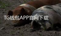 TG钱包APP官网下载——安全便捷的数字资产管理工具