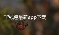 TP钱包最新app下载：引领区块链安全管理新潮流