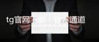 tg官网下载：官方通道，安全稳定的Telegram下载指南