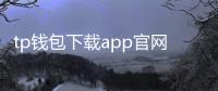 tp钱包下载app官网正版：安全与便捷的数字资产管理新选择